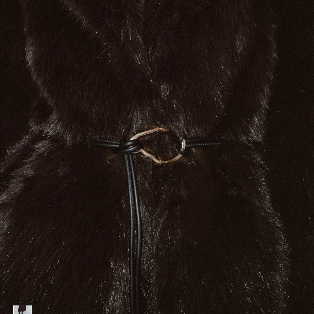 Winter Fur - Picture 2 of 4